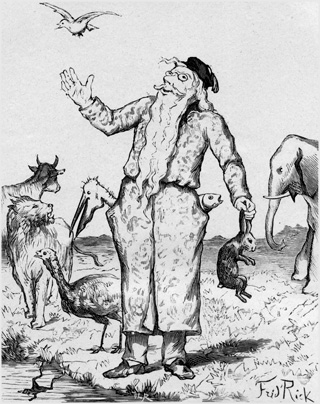 7. Création des animaux.